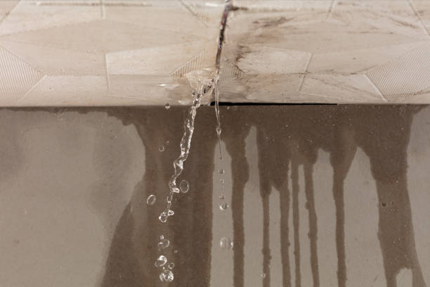 Professional Burst Pipe Cleanup technician working in Rushsylvania, OH
